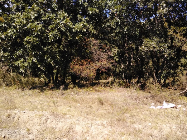 Terreno en venta en Campestre Haras, Amozoc — foto 2 de 16