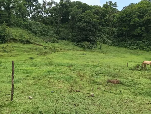 Terreno en venta en 3 de Mayo, Banderilla — foto 3 de 4