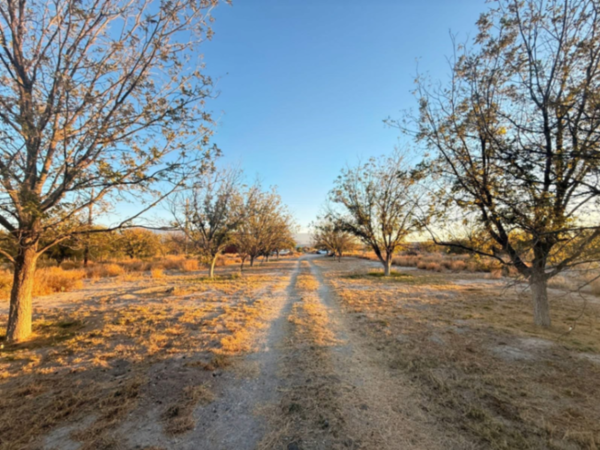 Finca-Rancho en venta en Estancias de Santa Ana, Monclova — foto 2 de 5
