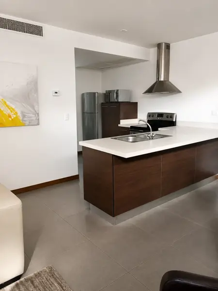 Departamento en renta en Colinas de San Jeronimo, Monterrey — foto 3 de 9