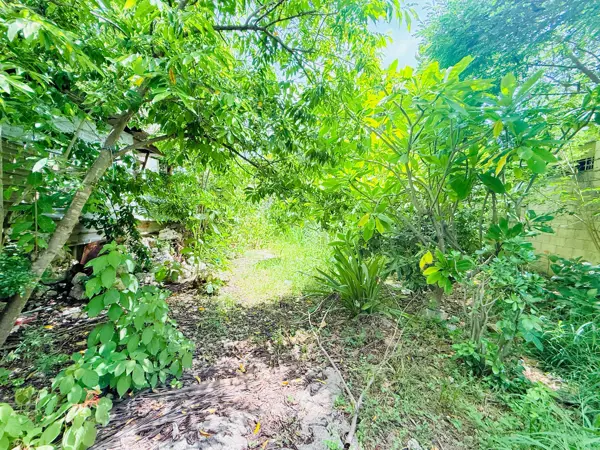 Terreno en venta en El Porvenir, Mérida — foto 2 de 5