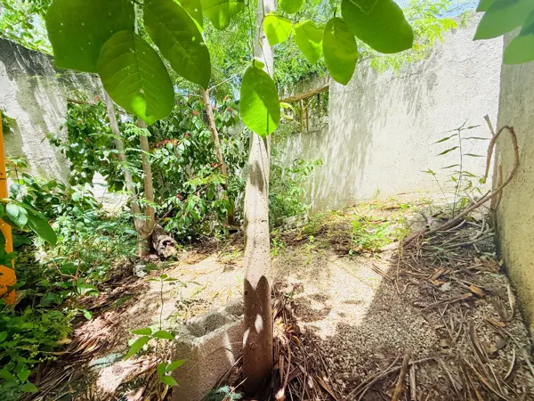 Terreno en venta en El Porvenir, Mérida — foto 3 de 5