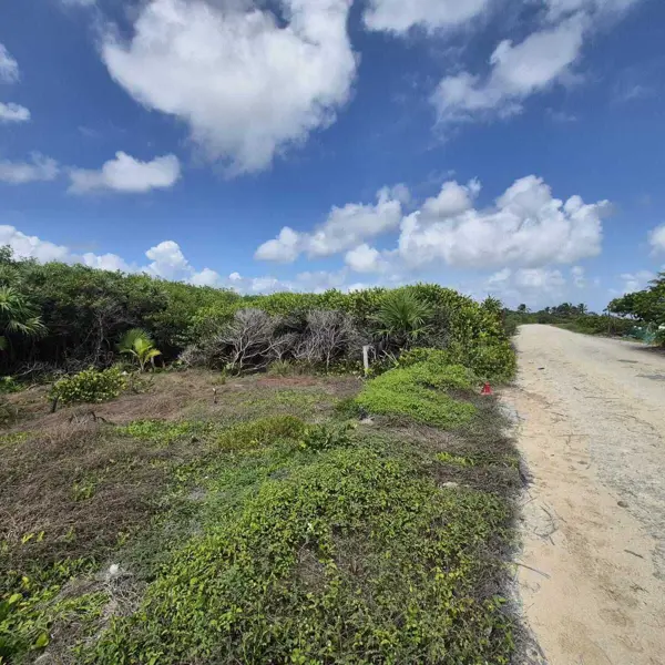 Terreno en venta en Mahahual, Othón P. Blanco — foto 3 de 31
