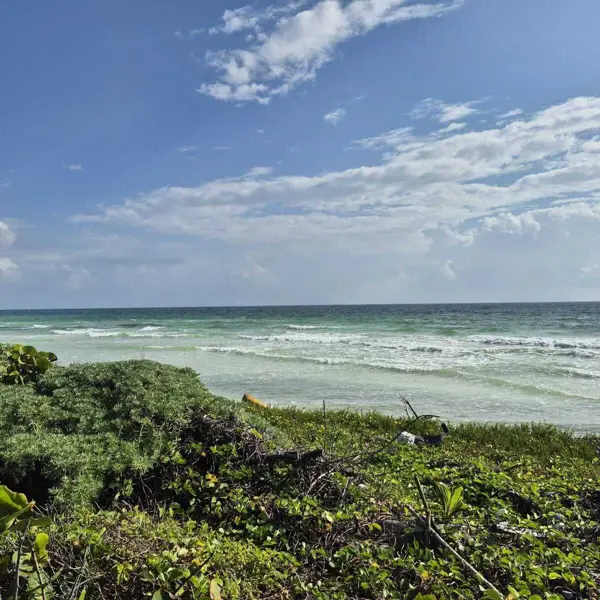 ?? Vive en Mahahual – Adquiere tu pedacito de paraíso en este terreno bien ubica