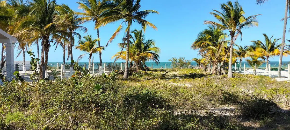 Terreno en venta en San Crisanto, Sinanché — foto 1 de 10