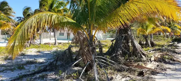 Terreno en venta en San Crisanto, Sinanché — foto 3 de 10