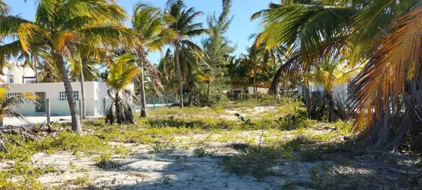 Terreno en venta en San Crisanto, Sinanché — foto 2 de 10