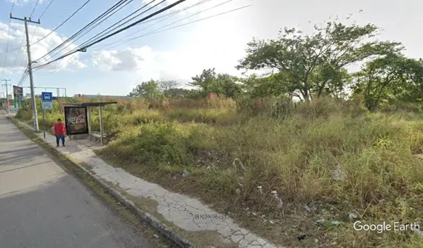 Terreno en renta en Obrera, Mérida — foto 3 de 6