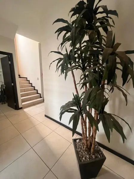 Casa en venta en Terranova, Saltillo — foto 3 de 20