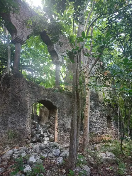 Terreno en venta en Chemax, Chemax — foto 2 de 49
