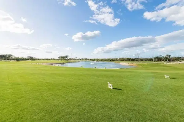Terreno en venta en San Ignacio Tesip, Mérida — foto 2 de 7
