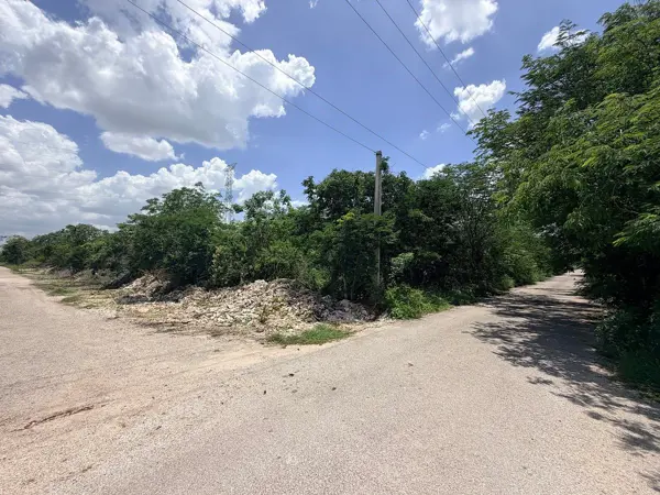 Terreno en venta en Temozon Norte, Mérida — foto 3 de 4