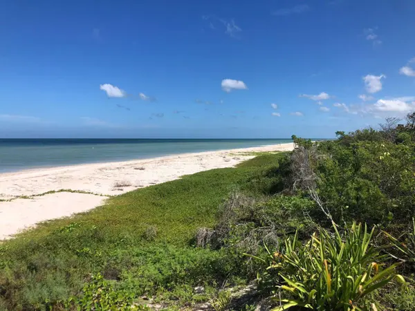 Terreno en venta en Sisal, Hunucmá — foto 3 de 5