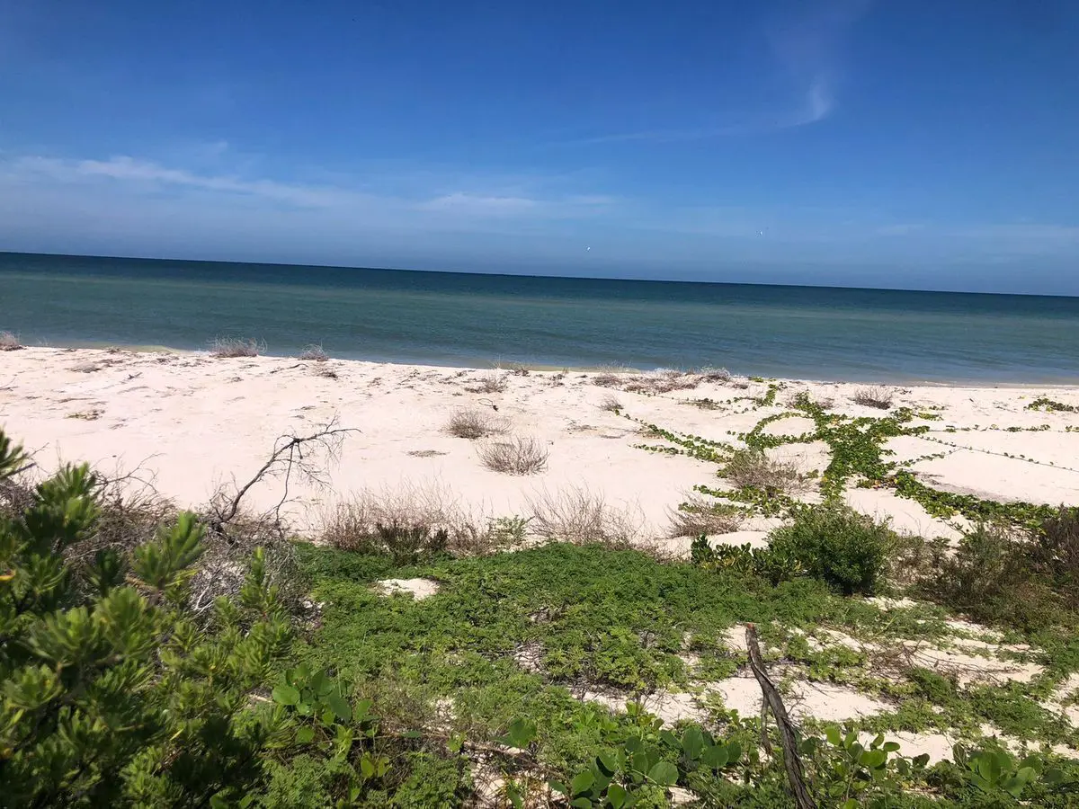 Terreno en venta en Sisal, Hunucmá — foto 1 de 5