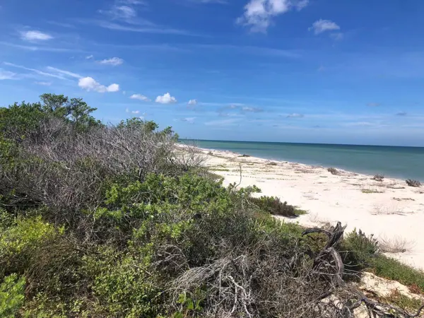 Terreno en venta en Sisal, Hunucmá — foto 2 de 5