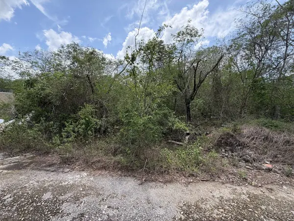 Terreno en venta en Dzibilchaltún, Mérida — foto 2 de 6