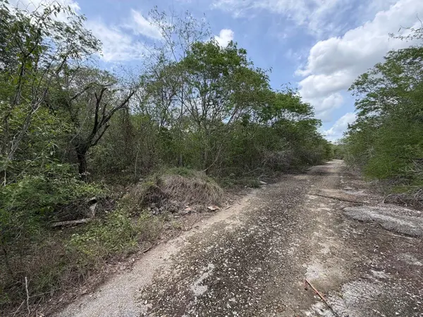 Terreno en venta en Dzibilchaltún, Mérida — foto 3 de 6