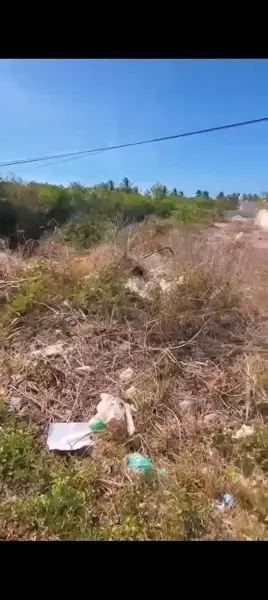 Terreno en venta en Chelem, Progreso — foto 2 de 4