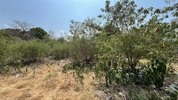 Terreno con construcción en Venta en el Centro de Mérida, Yucatán