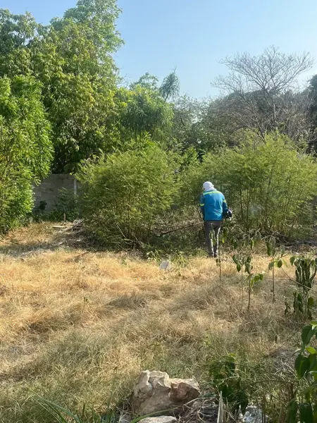 Terreno en venta en Merida Centro, Mérida — foto 3 de 5