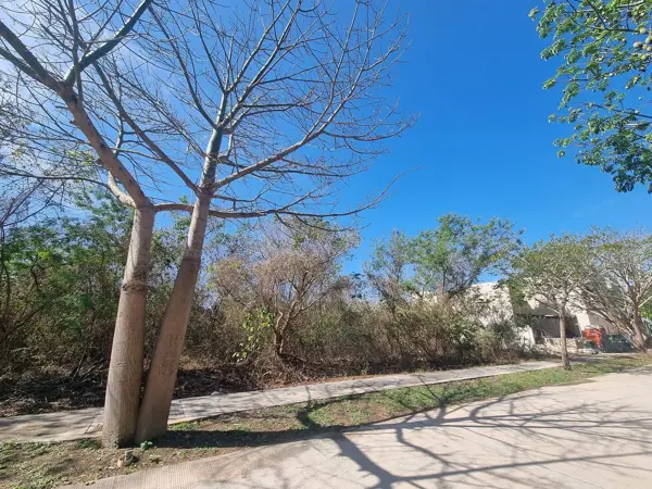 Terreno en venta en Cabo Norte, Mérida — foto 3 de 6