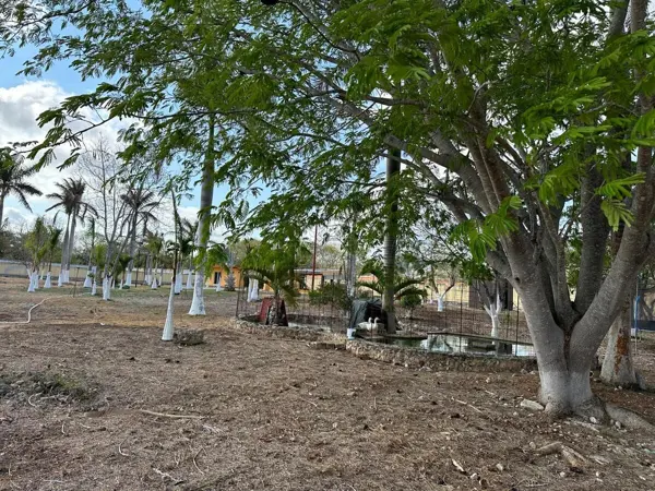 Terreno en venta en Conkal, Conkal — foto 3 de 14