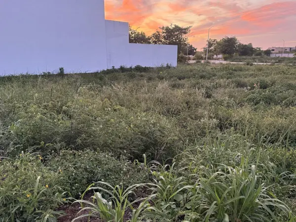 Terreno en venta en Temozon Norte, Mérida — foto 3 de 8