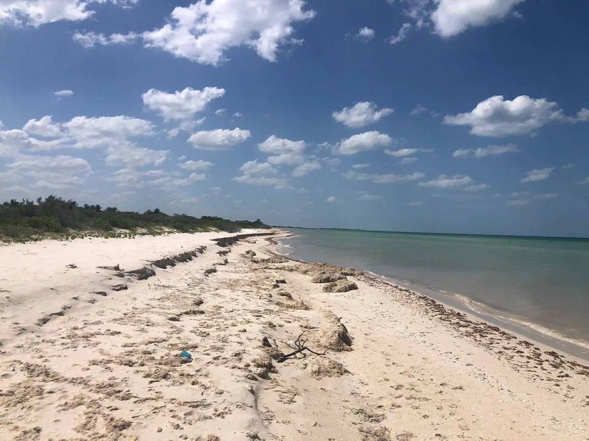 Terreno en venta en Sisal, Hunucmá — foto 1 de 5