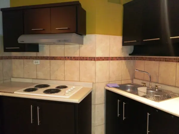 Departamento en renta en San Pedro Garza García Centro, San Pedro Garza García — foto 2 de 14