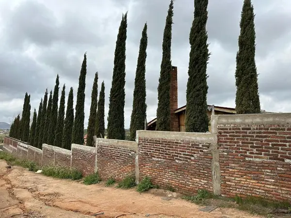 Finca-Rancho en venta en Cerro Azul, Tecate — foto 2 de 8