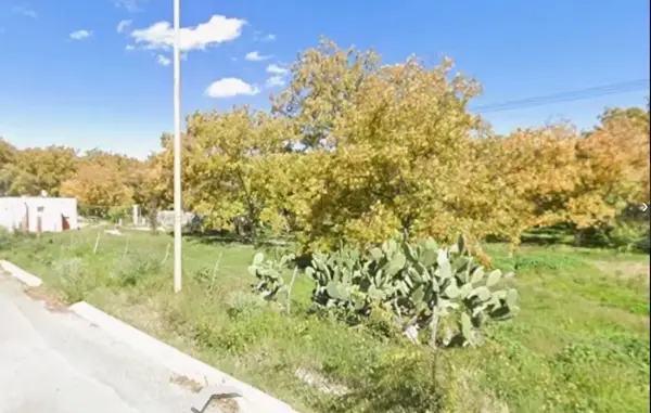 Terreno en venta en El Vergel, Parras — foto 3 de 4