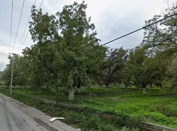 Terreno en venta en El Vergel, Parras — foto 2 de 4