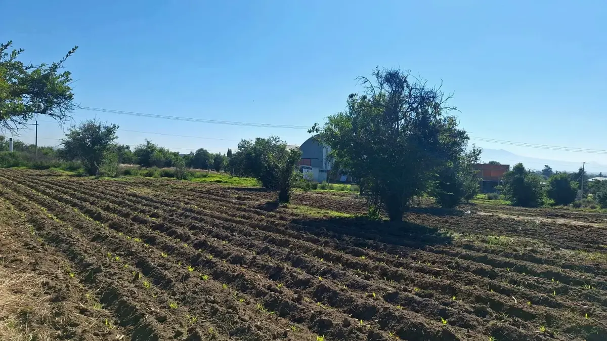 Terreno en venta en Huejotzingo Centro, Huejotzingo — foto 1 de 8