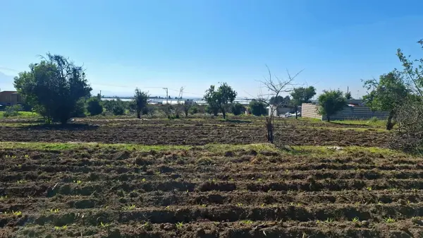 Terreno en venta en Huejotzingo Centro, Huejotzingo — foto 2 de 8
