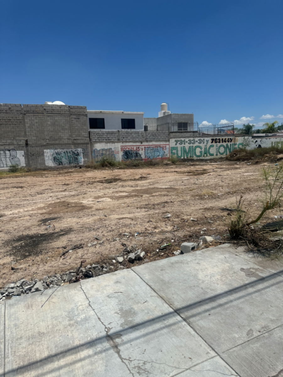 Terreno en renta en Residencial la Hacienda, Torreón — foto 1 de 11