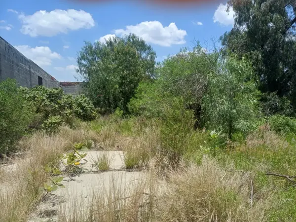 Terreno en venta en Belisario Dominguez, Puebla — foto 3 de 5
