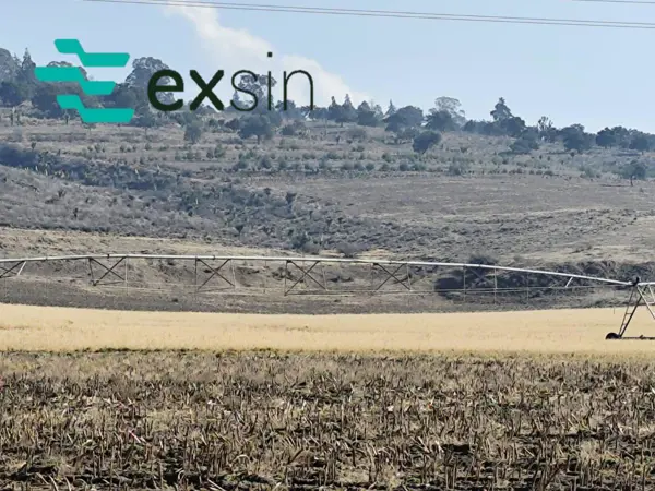 Terreno en venta en Sin colonia, Oriental — foto 3 de 5