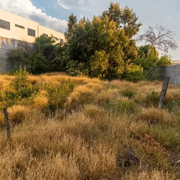 Terreno en renta en Rincón de los Encinos, Saltillo — foto 3 de 4