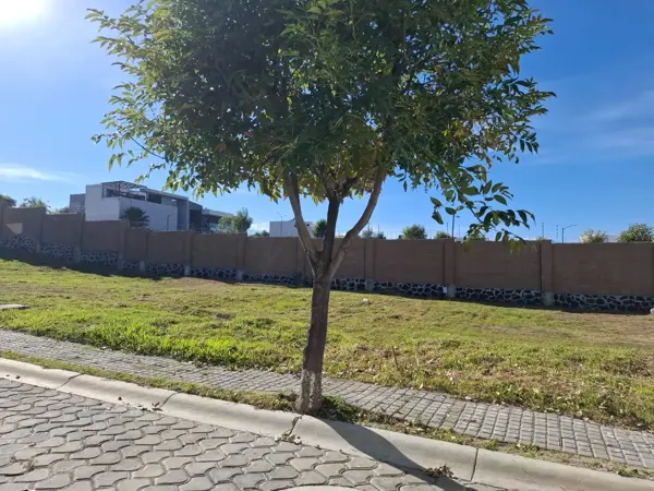 Terreno en venta en Lomas de Angelópolis, Ocoyucan — foto 3 de 5