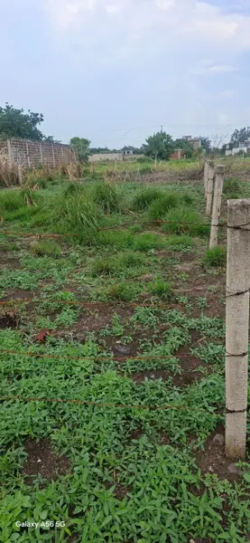Terreno en venta en Tierra Larga, Cuautla — foto 2 de 5