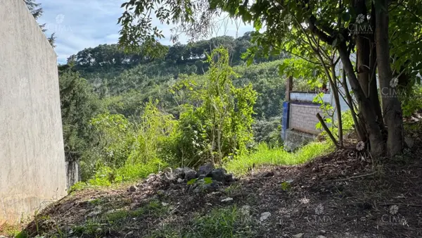 Terreno en venta en Del Bosque, Cuernavaca — foto 3 de 9