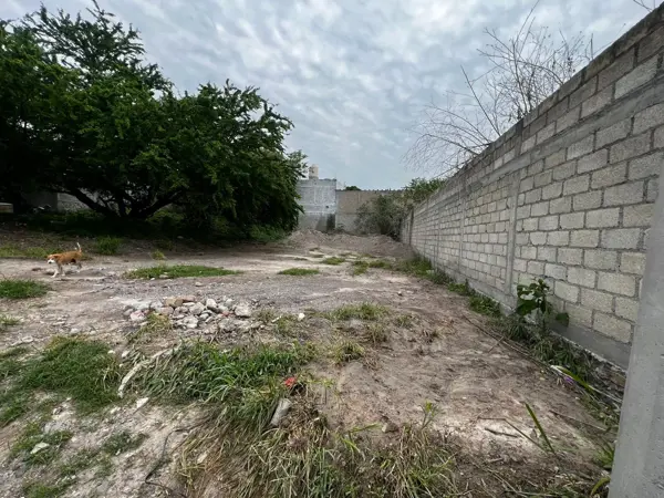 Terreno en venta en Josefa Ortiz de Dominguez, Zacatepec — foto 3 de 3
