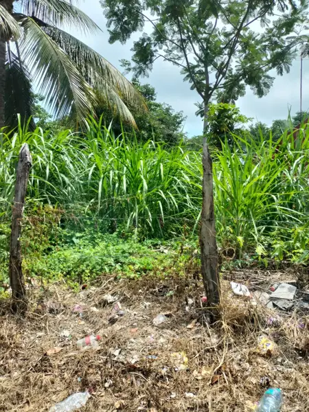 Terreno en venta en Teapa Centro, Teapa — foto 2 de 4