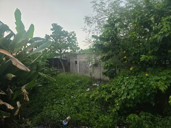 Terreno en venta en Ignacio López Rayón 1ra. Sección, Teapa — foto 2 de 5