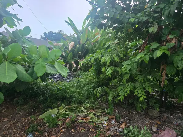 Terreno en venta en Ignacio López Rayón 1ra. Sección, Teapa — foto 3 de 5
