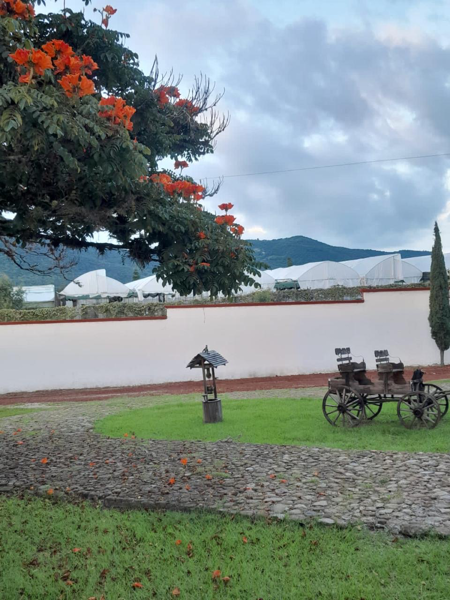 Casa en venta en Llano de la Unión, Ixtapan de la Sal — foto 2 de 25