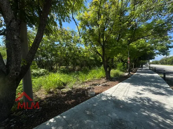 Terreno en renta en Gil de Leyva, Montemorelos — foto 2 de 14