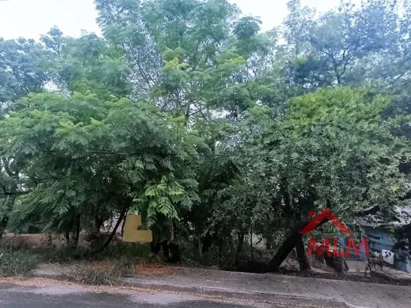 Terreno en venta en Rincon de la Sierra, Guadalupe — foto 3 de 4