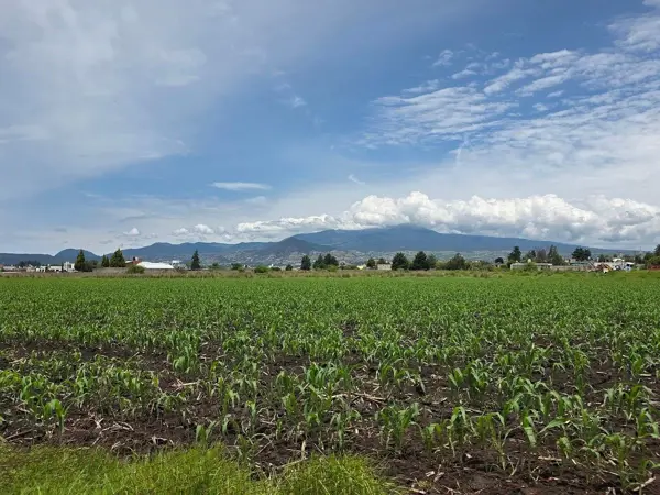 Terreno en venta en La Concepción Coatipac (La Conchita), Calimaya — foto 3 de 7