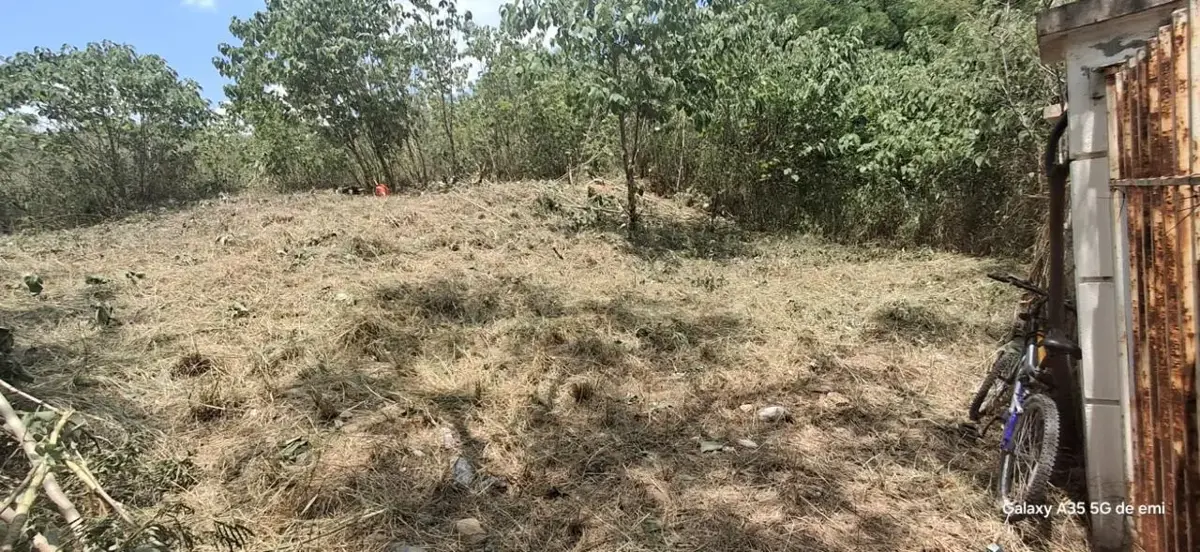 Foto 6